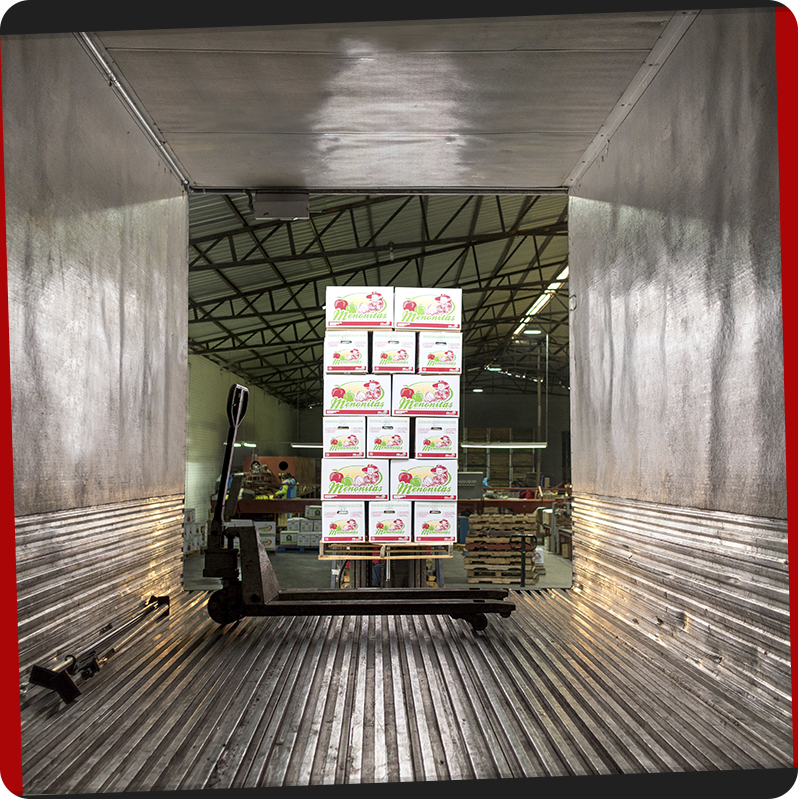 Caja refrigerada